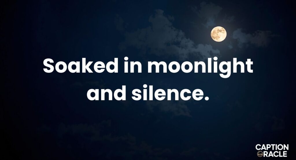 Aesthetic Night Captions for Instagram