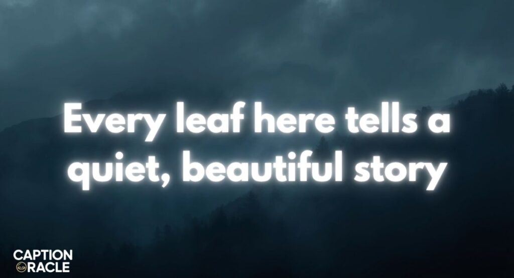 Baguio Quotes for Nature Lovers