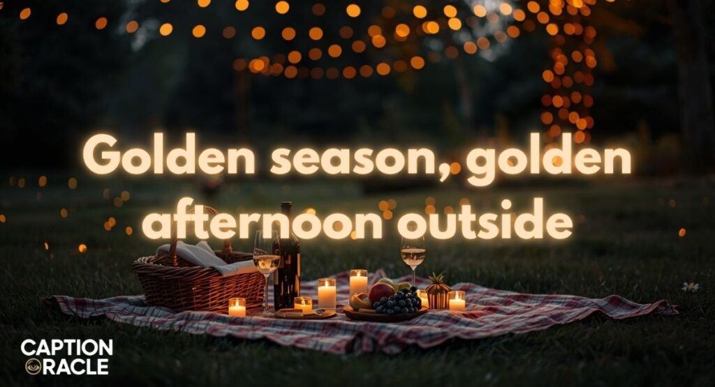 Summer picnic captions for Instagram