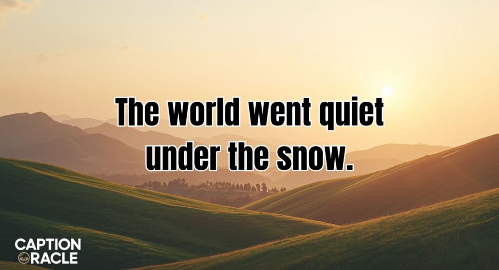 Winter Nature Captions