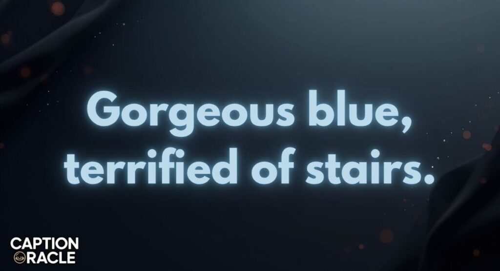 Funny Blue Saree Captions