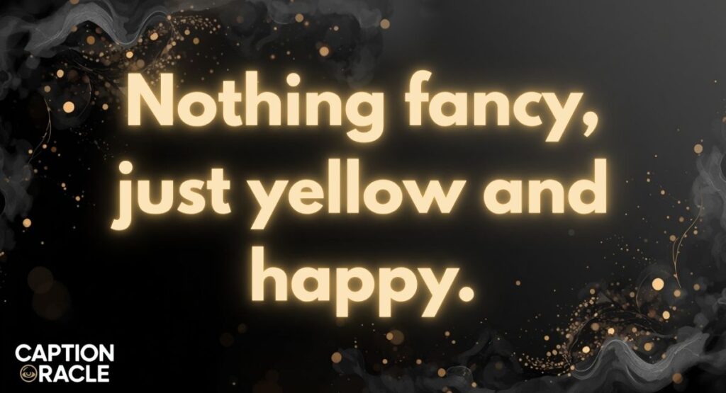 Simple Yellow Saree Instagram Captions