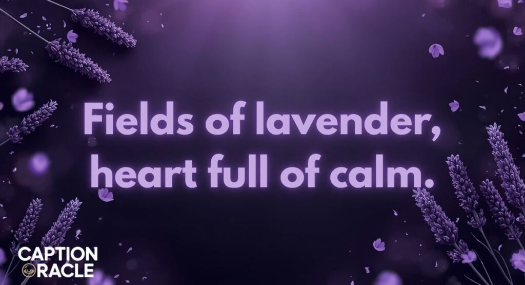 Best Lavender Captions for Instagram