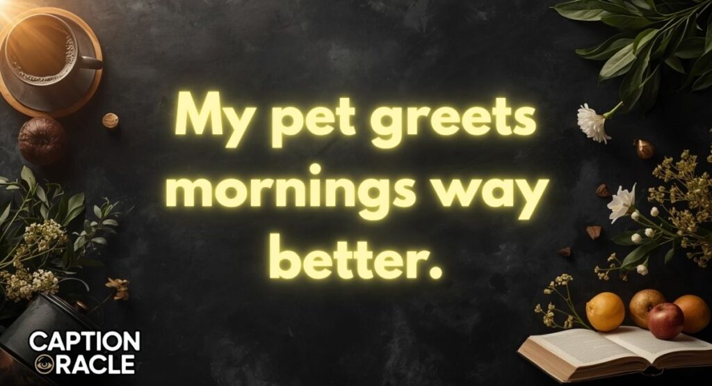 Cute Animal & Pet Morning Captions