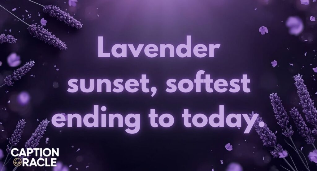 Dreamy Lavender Sunset Captions