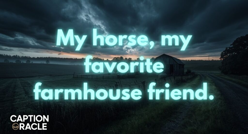 Horse Captions