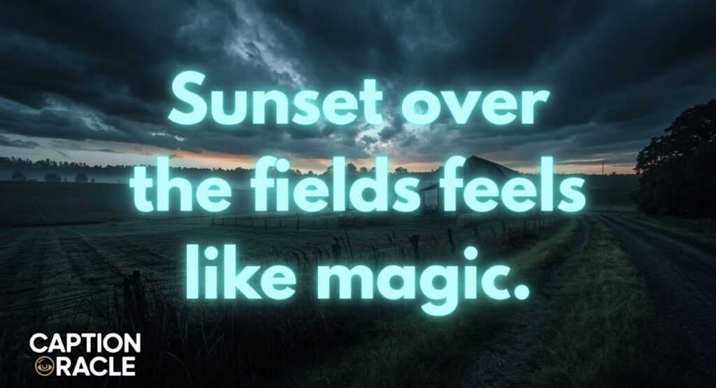 Sunrise & Sunset Farm Captions