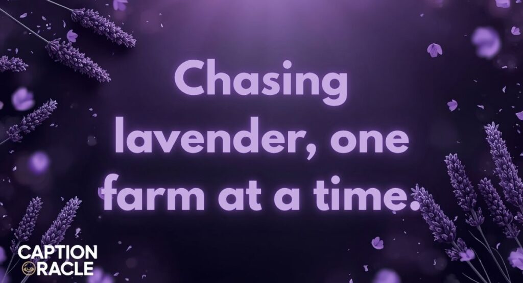 Travel Captions for Lavender Farms